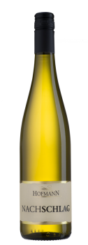 2023 Sauvignon Blanc "NACHSCHLAG" trocken