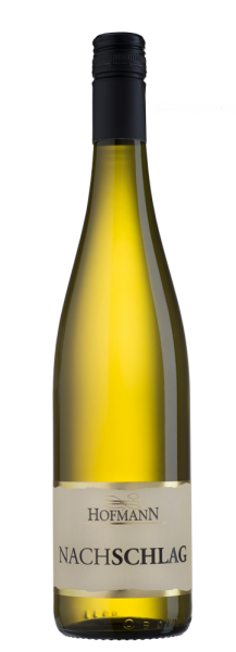 2023 Sauvignon Blanc "NACHSCHLAG" trocken